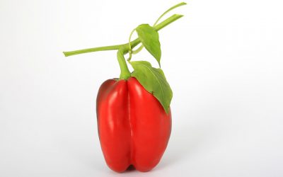 Why Peppers, and your Business need Processes to Grow